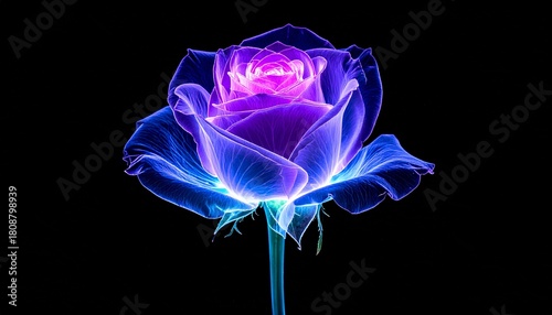 Ethereal x-ray style rose flower with vibrant neon blue and purple glowing petals