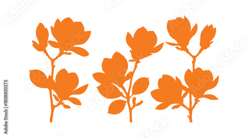 Decorative magnolia blossom silhouettes set against white.