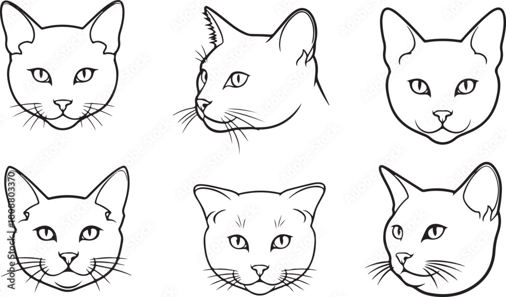 Fototapeta premium set of black and white face of cat vector