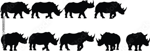 Set of black rhinoceros silhouettes, wild african animal vector collection, safari mammal icons, isolated on white background, side view walking poses