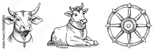 Sacred Indian cow and bull with Ashoka Chakra wheel symbol sketch vector illustration