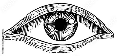 Mystic Human Eye Engraved Etching Style Vector Illustration