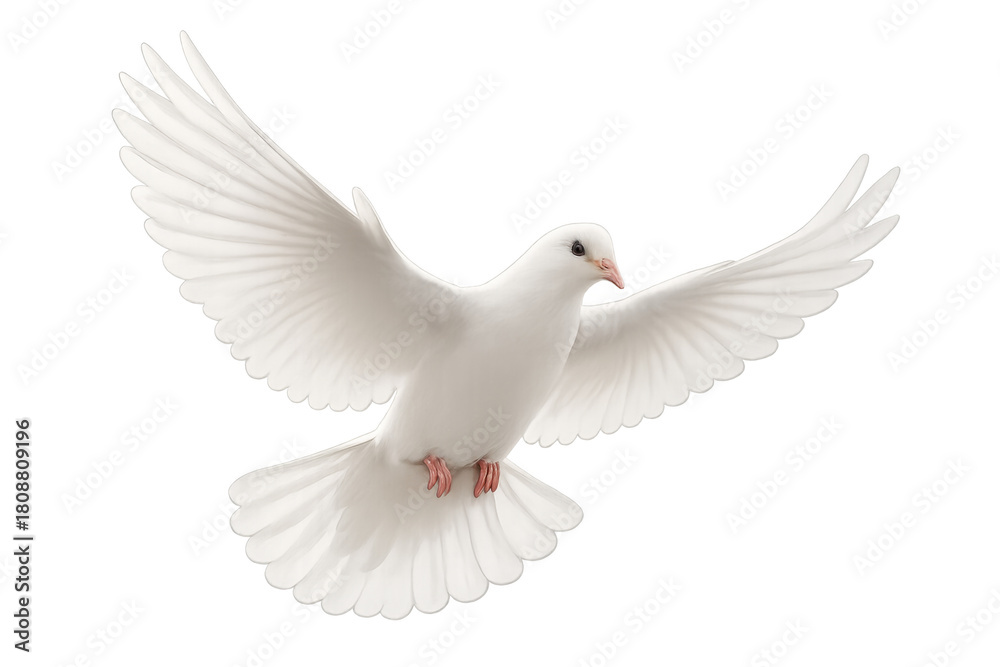 Fototapeta premium White dove flying with wings spread, representing peace, purity, freedom, unity, and spirituality. Transparent background