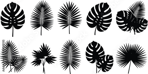Set of tropical leaf silhouettes, black palm and monstera vector illustration, exotic summer jungle foliage for botanical decor and nature logo design
