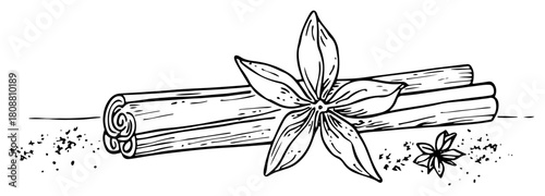 Cinnamon sticks and star anise spices aromatic cooking ingredients sketch vector illustration