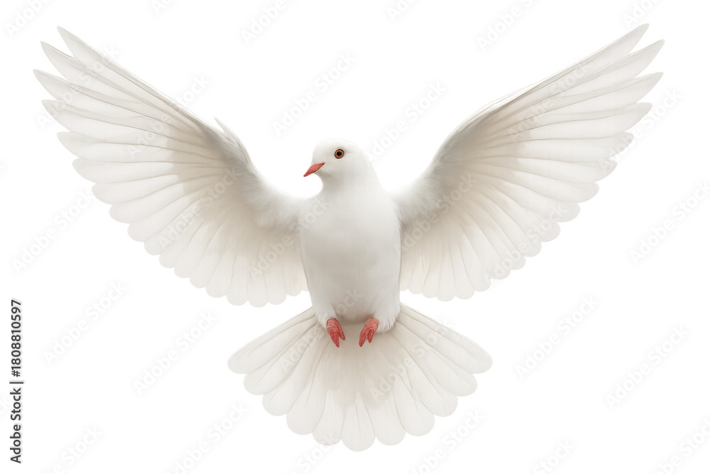 Obraz premium White dove flying with wings spread, symbolizing peace, hope, purity, and freedom, transparent background