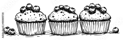 Blueberry Muffin Cupcakes Dessert Hand Drawn Sketch Vector Illustration