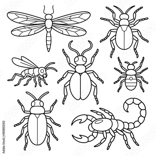 Insects and Scorpion Line Art Collection Coloring Page