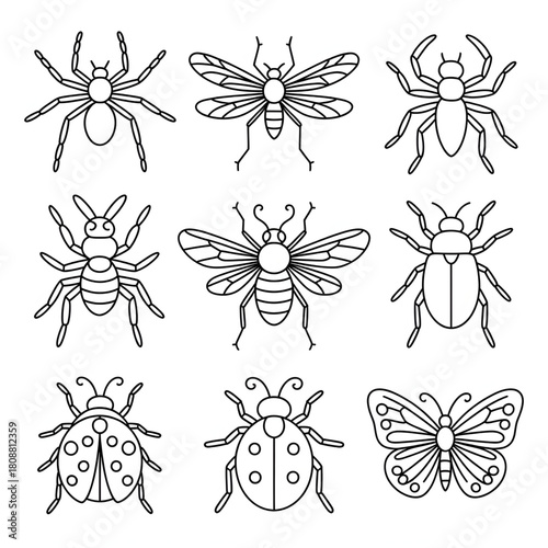 Insect Collection Line Art Icons Coloring Page