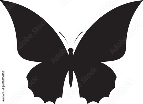 Black Silhouette Butterfly with Large Wings on White Background insect