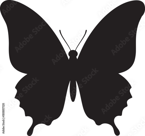 Black Silhouette of a Butterfly with Wings Open insect animal