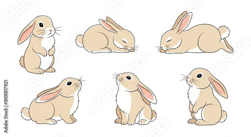 /srv/www/vhosts/git_exclude/save/processed/9/0/6/906bb9e7-3525-47ed-b7ef-073b063b3324/01_e4bc8947824b2c3fbde39587d04744dc_jpeg_intermediate_eps/365b789a7796a4668858697f0166a345.eps