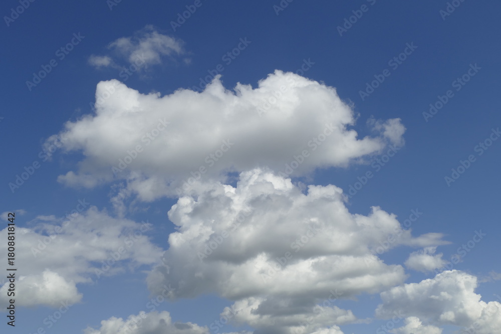 Fototapeta premium Weisse Quellwolken, Blauer Himmel, Deutschland