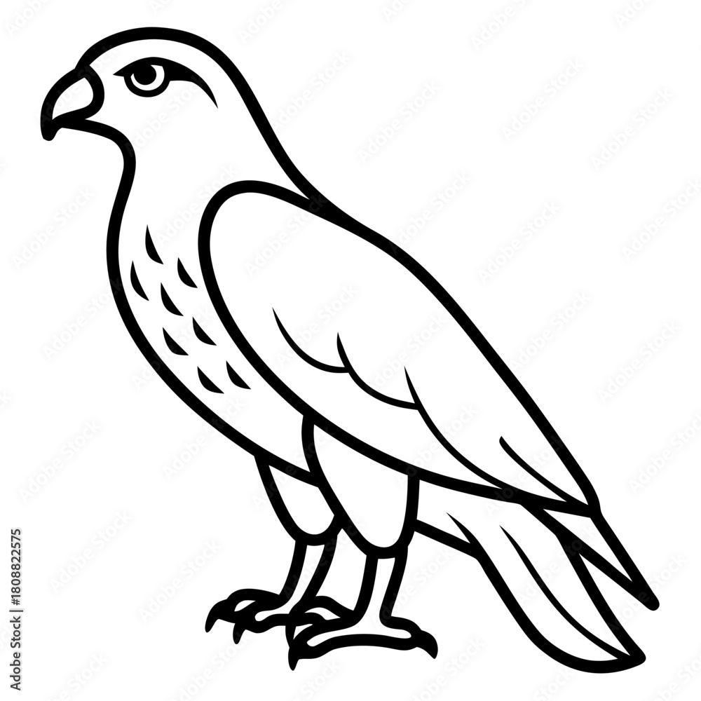 Fototapeta premium dove of peace
