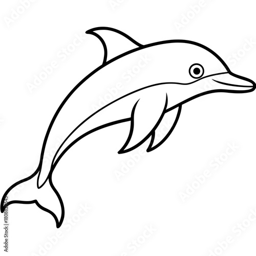 dolphin isolated on white background