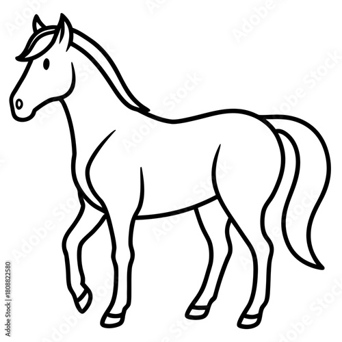 Wallpaper Mural horse isolated on white background Torontodigital.ca