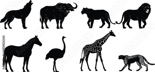 Wild animal silhouettes, side profile wildlife icons, African safari creatures, predator and prey shapes, nature illustration for education and design