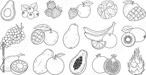 Hand-drawn outline vector collection of mixed fruits including berries, citrus, tropical fruits, grapes, apples and assorted fresh fruit illustrations