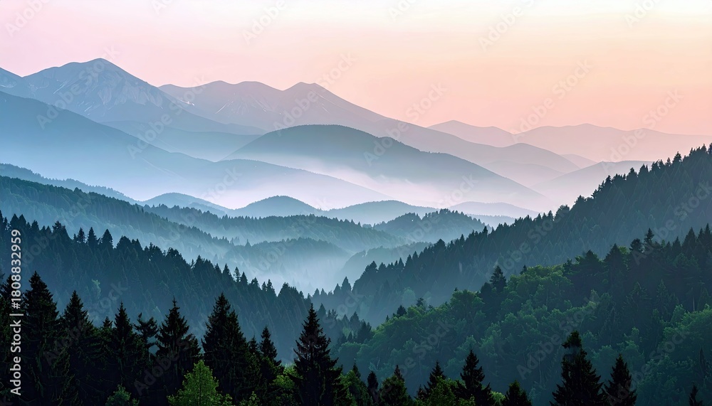 Fototapeta premium A panoramic view of layered mountain ranges shrouded in mist at sunrise, with dense evergreen forests in the foreground.