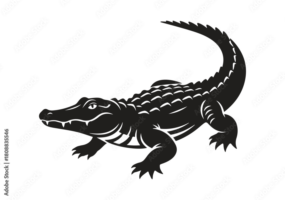 Fototapeta premium Alligator in silhouette isolated on