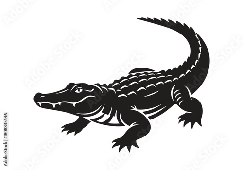 Alligator in silhouette isolated on