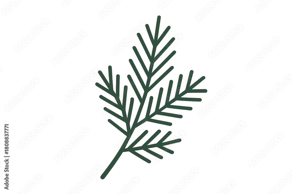 Fototapeta premium Green fir branch doodle drawing on transparent background. Simple hand-drawn conifer twig with needles, representing winter and holidays
