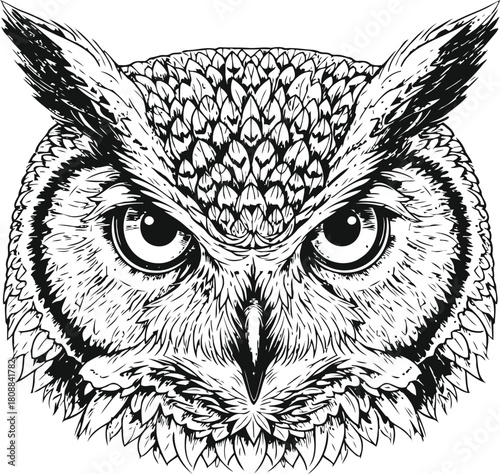 Monochromatic owl head illustration with intricate plumage and watchful gaze on black background