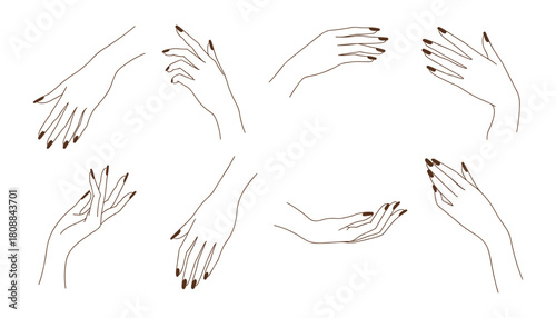 Collection of elegant female hands with dark nail polish in various graceful poses line art woman