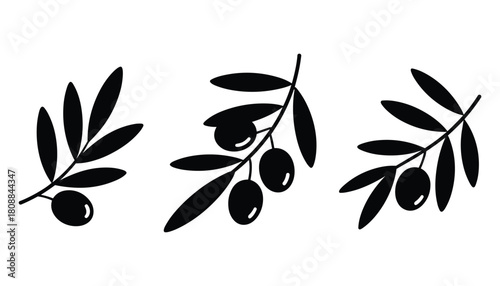 Three black silhouette olive branches with leaves and olives on a white background vector