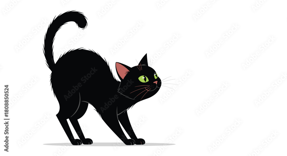 Obraz premium A playful black cat stretches its body with arched back and raised tail, displaying a curious and alert expression against a white background.