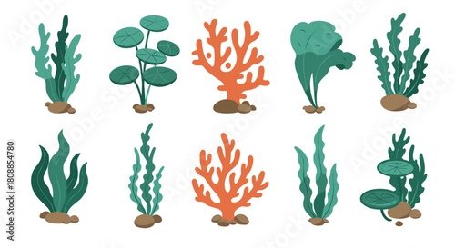 Aquatic plants collection: diverse and vibrant seaweeds and corals