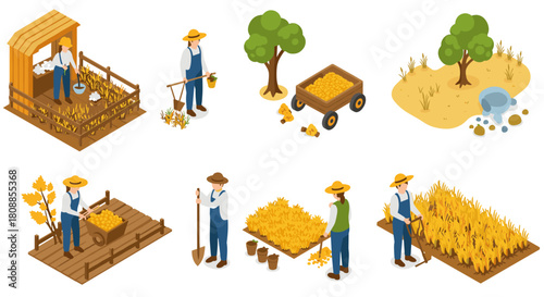 Isometric farming activities with farmers, crops, and tools in rural landscape