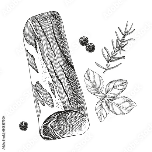Raw pork tenderloin sketched vector