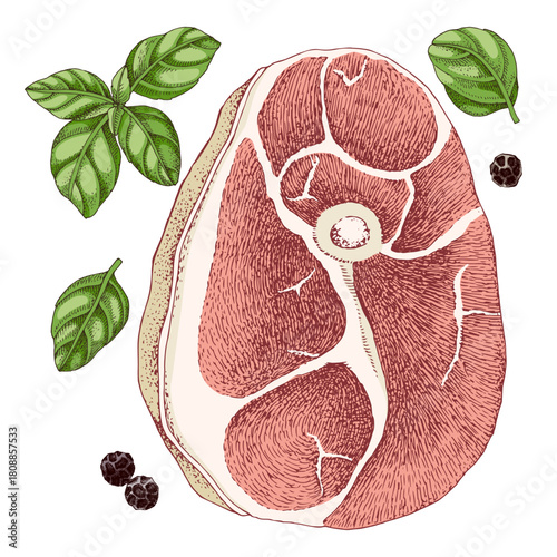 Slice of raw pork knuckle vector