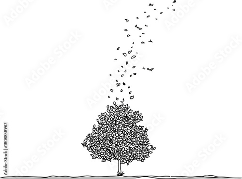 simple line art of tree