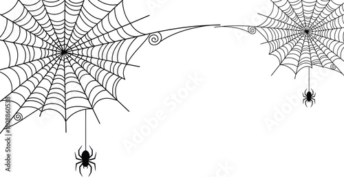 Hand drawn spiderwebs with spiders for halloween decoration or background