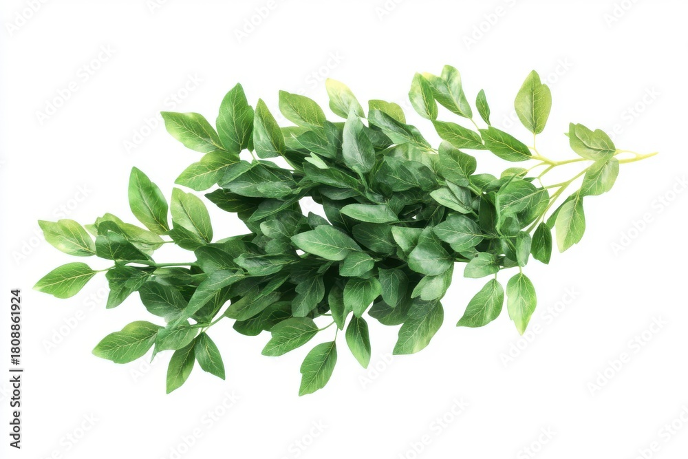 Naklejka premium Bunch of Fresh Artificial Green Leaves Isolated on White Background for Nature-Themed Designs