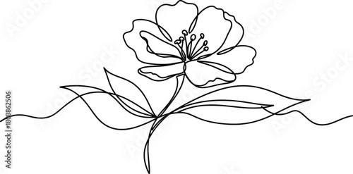 Minimalist continuous line flower drawing, elegant botanical vector art, modern floral illustration, single line sketch, decorative design element