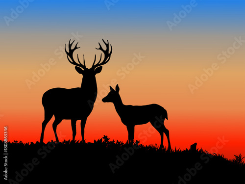 deer, stag, doe, wildlife, animal, silhouette, sunset, nature