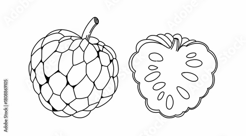 Coloring page soursop fruit for kids and kindergarten. Education Book 