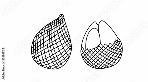 Salak or snake fruit coloring pages for kids. Coloring Book for kindergarten