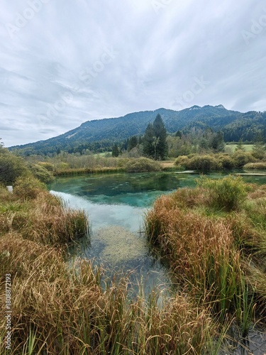 mountain landscape with spring