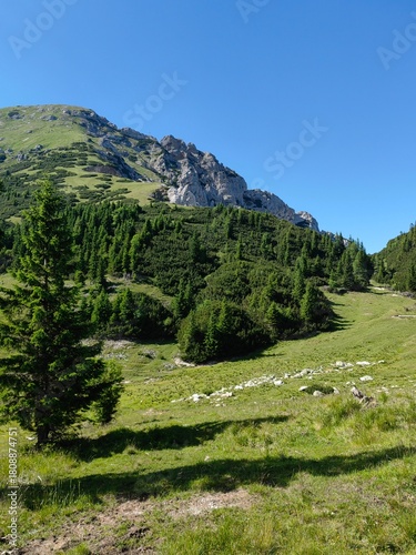 mountain landscape in summer