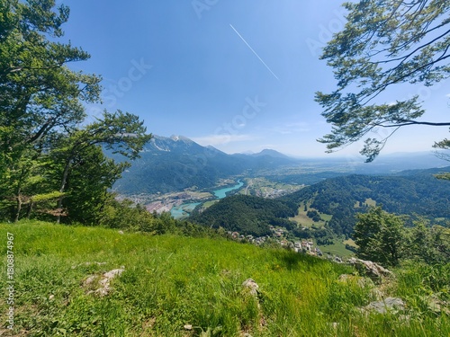 alpine meadow in the alps