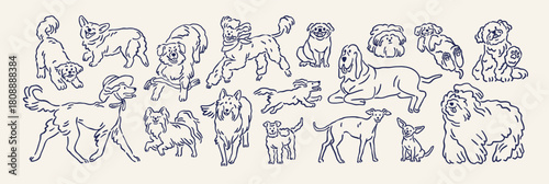 Dogs set in doodle outline style. Cute funny puppy breeds, line sketchy drawings. Happy canine animals, doggies, handdrawn sketches, scribbles. Isolated hand-drawn contoured vector illustrations
