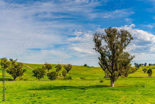 Riverina Countryside in Spring – Rolling Hills Under Clouded Skies