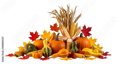 Photos Autumn Harvest Display of Pumpkins Gourds and Fall Leaves.