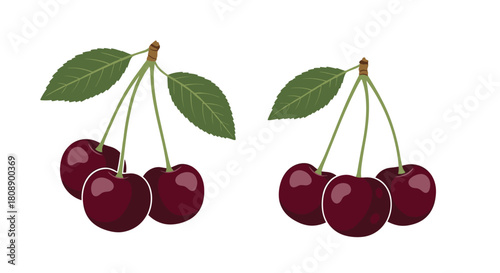 Two clusters of dark red cherries with green leaves and stems, isolated on white background.