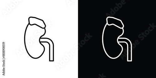 Adrenal gland icon in line design. Editable stroke icon.