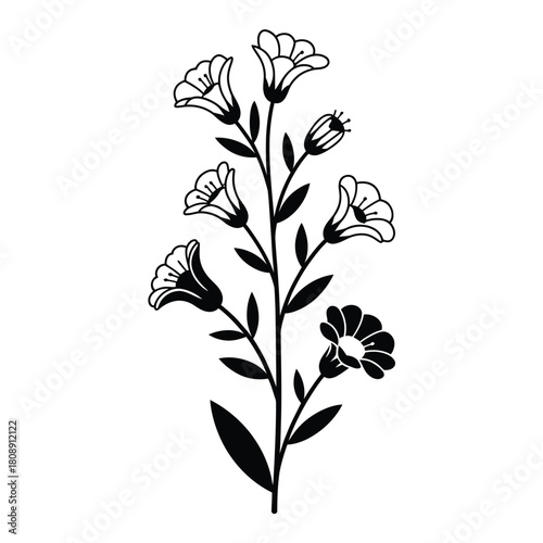 Simple black and white line drawing of a delicate wildflower stem